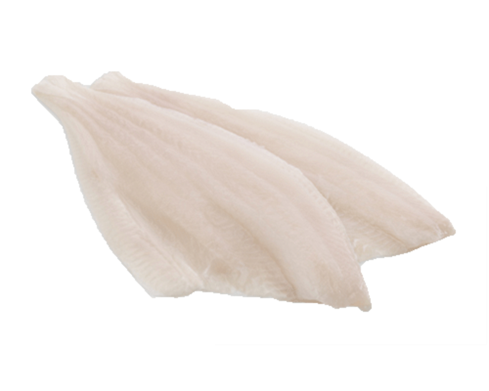 FILETTO DI PLATESSA XL